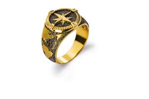 Ring ´Kompass´ Gelbgold 750 teilweise schwarzrhodiniert